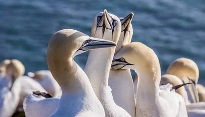 声生不息：张泽禹的音乐之旅