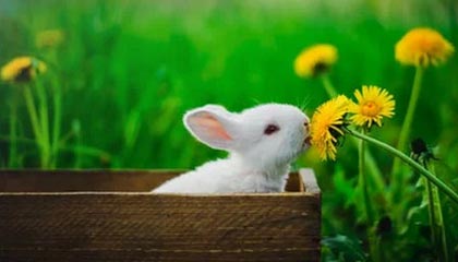 “广西政协原副主席彭晓春被开除党籍，违纪违法问题严重”